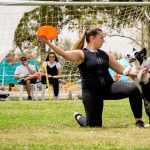 ביום הכלב הבינלאומי, עמותת S.O.S חיות וביופט עורכות הפנינג אימוץ