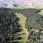 כל המשפחה חוגגת את סוכות ביערות קק”ל