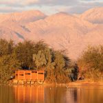 סדנת נדידת ציפורים והפנינג סוכות בפארק הצפרות