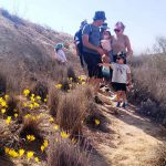 הגנים הלאומיים קיסריה, מצדה וירקון תל אפק, בלטו בשפע המטיילים