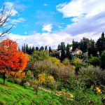 כמו בחו”ל: מופע שלכת מרהיב בגן הבוטני בירושלים