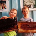 מועצת הדבש מזמינה את המשפחות לחגוג חנוכה במכוורות ברחבי הארץ