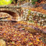 משפחות רבות טיילו בגנים הלאומיים ירקון תל אפק, קיסריה, עין גדי ומצדה