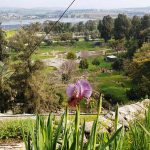 שבת חמימה ושטופת שמש, הוציאה את עם ישראל לטיולים בטבע