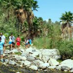 חוויות פסח: איגוד ערים כינרת מזמין את המשפחות לבלות ללא עלות