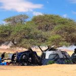 גם השבת טיילו המשפחות במרחבי הארץ