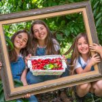 האדום-המתוק-העסיסי הזה: פסטיבל הדובדבן של חבל יתיר חוזר