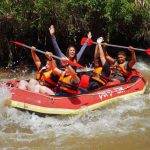 אבוקיאק: כל המשפחה זורמת