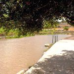 להתרענן בשביל נחל ציפורי: מסלול של קק”ל לקיץ החם