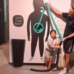 “תחושת בטן”: מסע חוויתי במערכת העיכול