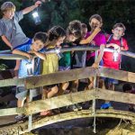 הגולן מציע למשפחות: פעילויות ליליות וסיורי עששיות