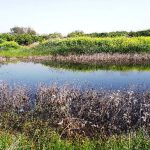 למשפחות המטיילות מוצעות הנחיות לטיול בטוח