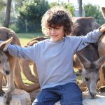 סוכות ‘שומרי טבע’ בגן גורו: פעילות מיוחדת המוקדשת לטבע ולבעלי החיים