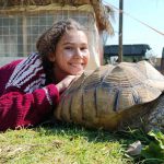 חוגגים סוכות בצפון הנגב, עם שלל אטרקציות לכל המשפחה