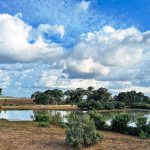 ממשיכים לטייל, כולל פעילות קצת אחרת לשעות הערב הנעימות