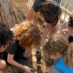 “זורעים למען העתיד”: עשרות אלפי ילדים משתתפים בזריעת פרחי בר