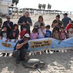 שוחררו לטבע שני צבי ים חומים: בוגרת בשם “שאבו” וצעיר בשם “מיטל”