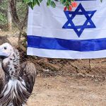 הצצה לספארי ר”ג בתקופת המלחמה