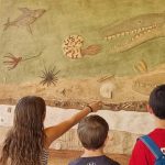 ‘ביחד במדע’: יום המדע הישראלי בערבה התיכונה והשקת קיר מאובנים