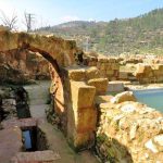 טיול בטבע בחורף הישראלי: מוסקים זיתים בעין חניה