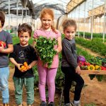 ‘מהחממה לצלחת’ – בסימן הצדעה לחקלאות ישראלית מקומית