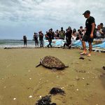 חסקה חוזרת הביתה, לים