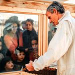 לציון ‘יום הדבורה הבינלאומי’: המשפחות מוזמנות לביקור במכוורות