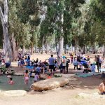 הגנים הלאומיים תל אפק, השלושה, קיסריה ושמורת הטבע עין גדי, בראש