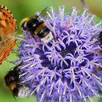 נאות קדומים: חוויה תרבותית למשפחות בטבע תנ”כי