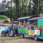 הכל דבש: המשפחות חוגגות שבועות באֶרֶץ זָבַת חָלָב וּדְבָשׁ