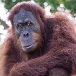 ספארי ר”ג מציע ערבי קיץ לכל המשפחה