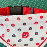 לכבוד יום הכלב הבינלאומי: “קפה עוטף – נתיב העשרה” בשרונה ת”א