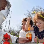 רק דבש ישראלי: פעילויות לכל המשפחה במכוורות ברחבי הארץ