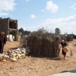 סוכות של צמיחה: המשפחות חוגגות את חוה”מ סוכות בנאות קדומים