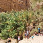 המשפחות יצאו בשבת לטייל במרחבי ישראל