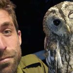 לילית שנפגעה בלילה מטופלת בבית החולים לחיות בר שבספארי ברמת גן