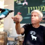 כ- 55 אלף מטיילים/ות פקדו את שמורות הטבע והגנים הלאומיים בשבת