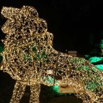 חנוכה משפחתי בגן הבוטני בירושלים עם Winter Dreams