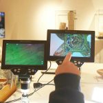 בן עשר גילה תליון צלב בן כ-100 שנים בירושלים