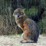 המשפחות יצאו לטייל גם בשבת החורפית