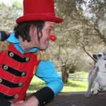 חנוכה משפחתי בגן החיות התנ”כי ובאקווריום ישראל