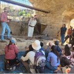 פעילות חורף משפחתית בנחל תנינים