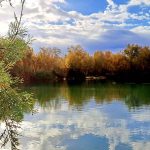 שמורת טבע עינות צוקים: סיורים מיוחדים בשמורת הטבע החבויה