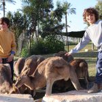 גן גורו: ימי שלישי ב”פברואר יוצא מן הכלל”