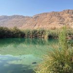 עינות צוקים: סיורים מיוחדים בשמורת הטבע החבויה