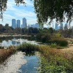 חגיגת ט”ו בשבט משפחתית, בבוסתן מוז”א, מוזיאון ארץ־ישראל, ת”א