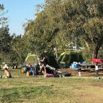 המשפחות וכלל הציבור טיילו בשבת בטבע הישראלי