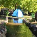 המשפחות בחרו לטייל בשבת במרחבי הטבע הישראלי