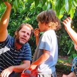 העונה הכי טעימה בשנה: קטיף הדובדבנים המשפחתי בגולן