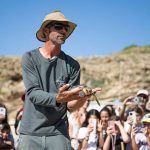 הצבים יריב, דונטלו וצחי ניצלו, טופלו ושוחררו בחזרה לים